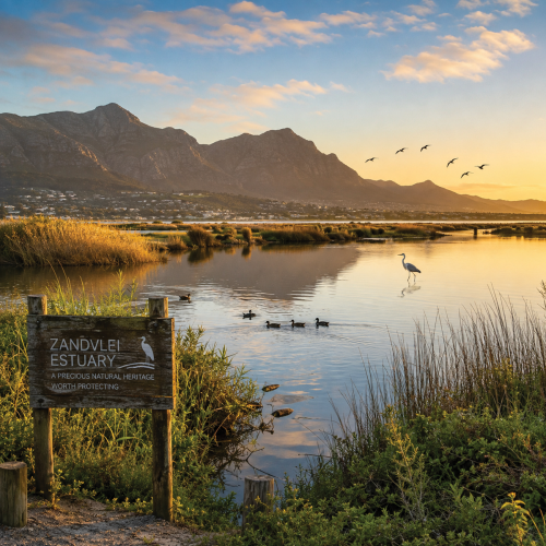 Zandvlei Estuary sponsored by Sannitree